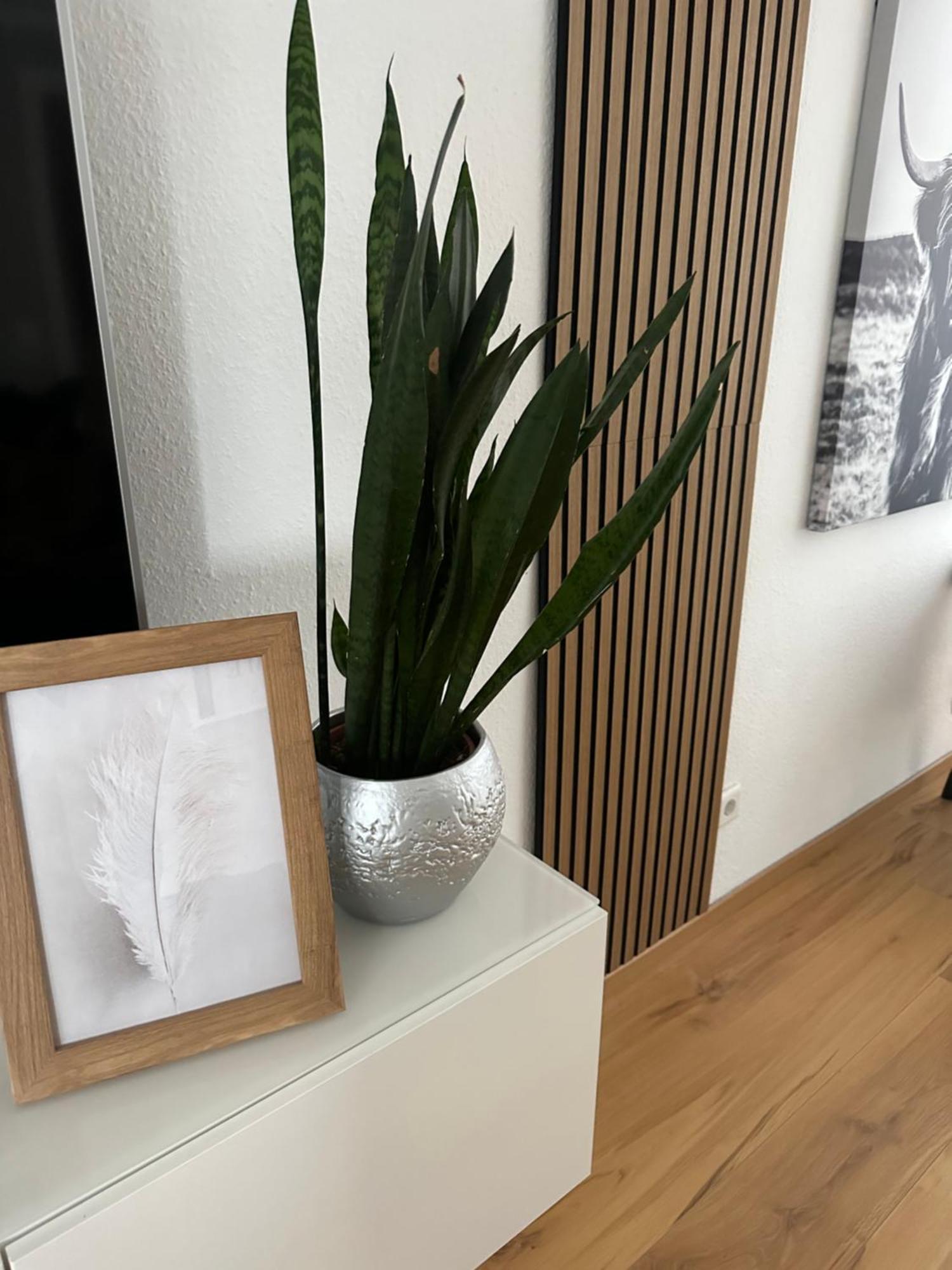 Ferienhaus Sauerland - Traum Winterberg Eksteriør billede